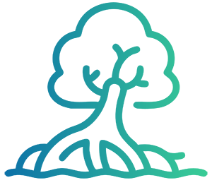 mangroves icon