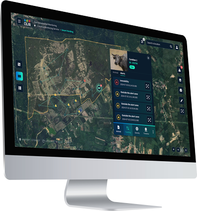 powerful digital decision-making tool