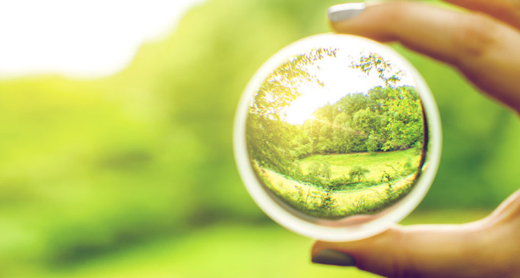 Mission-Driven Company: A Concrete Commitment for Lasting Impact