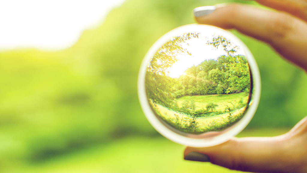 Mission-Driven Company: A Concrete Commitment for Lasting Impact