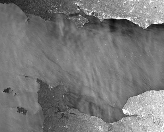 A Victory for the Oceans: CLS Expertise Establishes a Legal Precedent