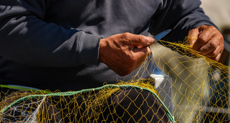Renforcer la co-gestion des pêches artisanales grâce à la technologie VMS : une approche en temps réel pour protéger les océans