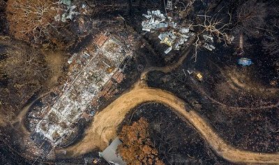 Bush fire destruction