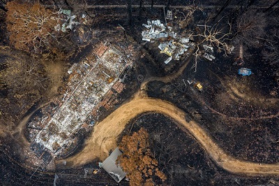 Bush fire destruction