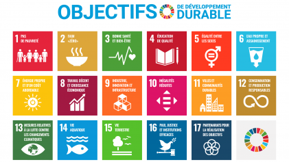 objectifs ONU développement durable