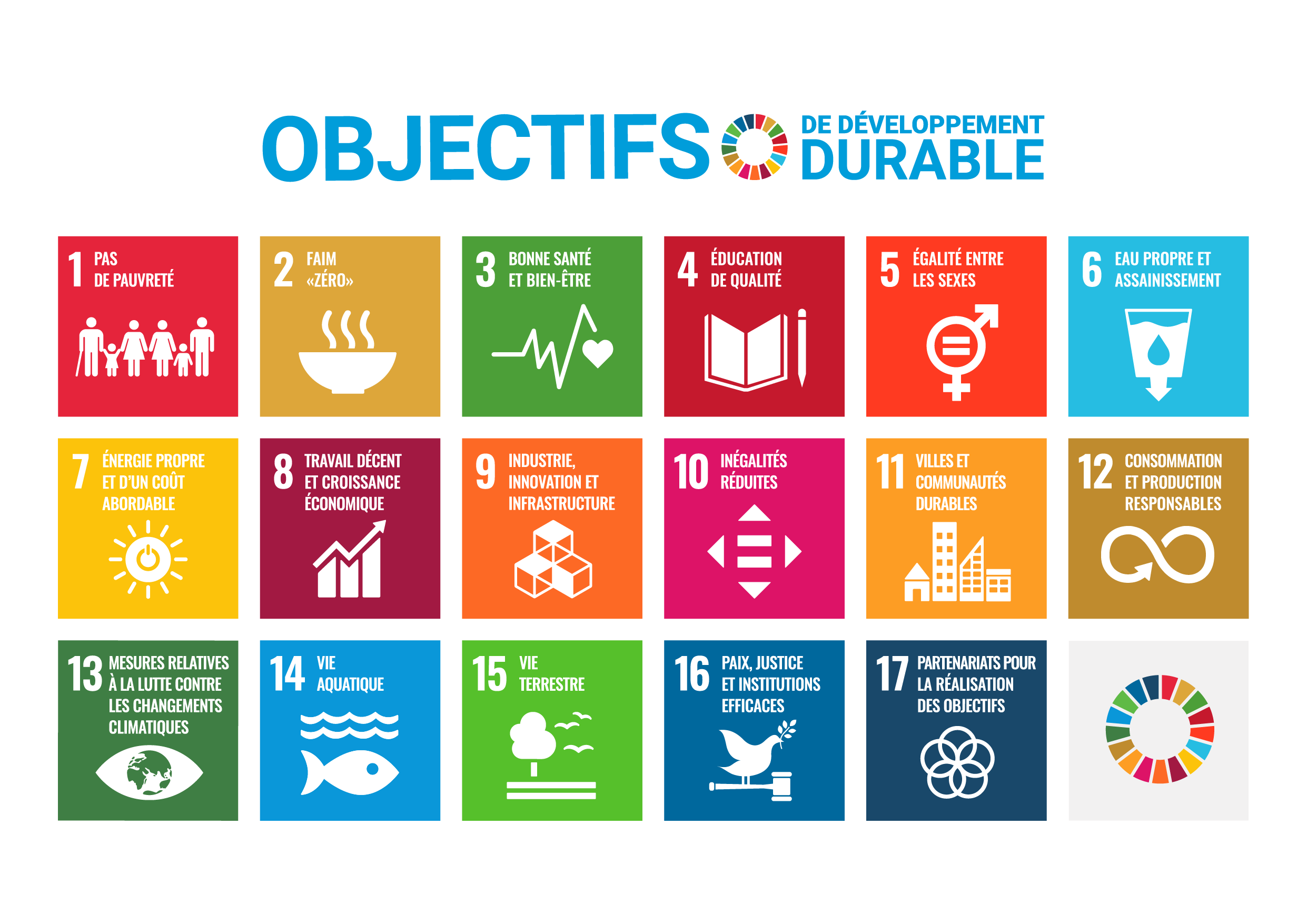 objectifs ONU développement durable
