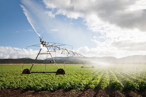 IRRIGATION