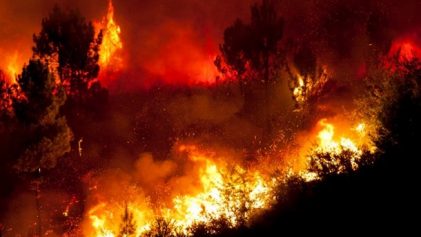 Incendie de forêt