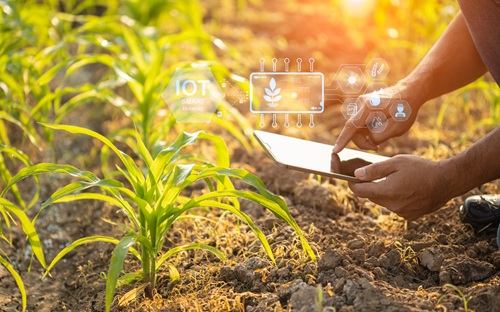smart agriculture