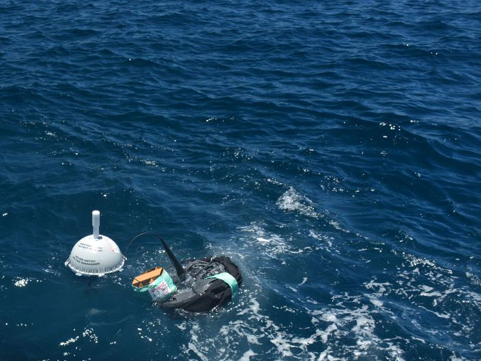 TRUSTED buoys at sea