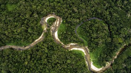 Amazon river