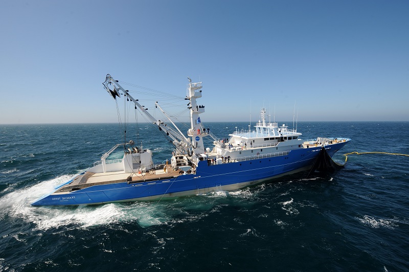 bateau de peche