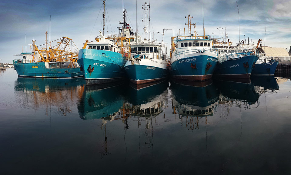 Fishing boats - Batreaux de pêche