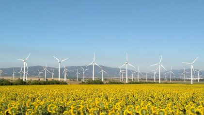 champ d'éoliennes