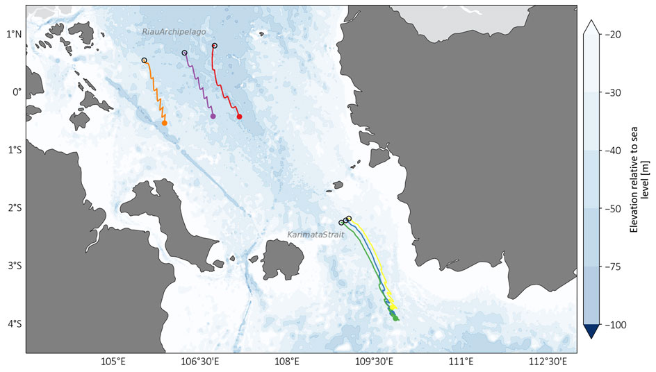 1st days trajectories of the deployed drifters in the MMS Project