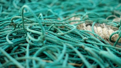 fishing nets