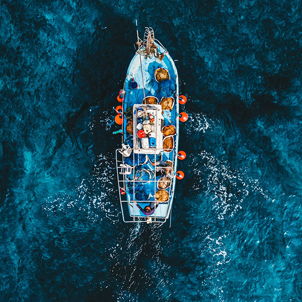 small scale fisheries