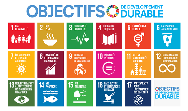 Objectifs de développement durable ONU