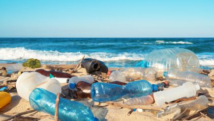 pollution plastique sur les plages