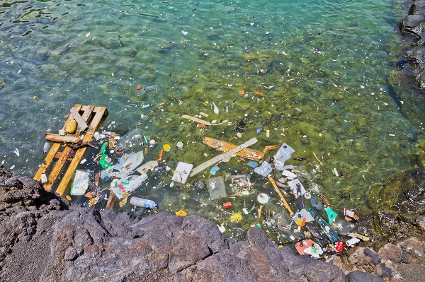 pollution plastique du littoral