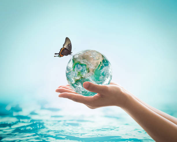 protect seas