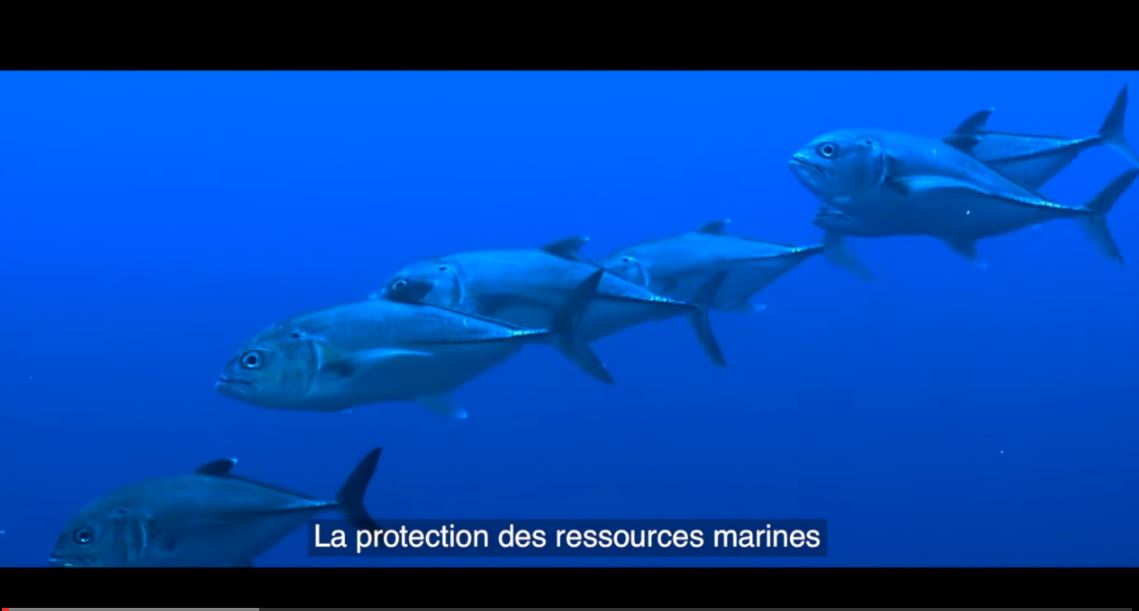 protection-ressources-marine