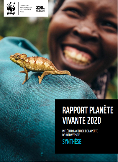 rapport planète vivante WWF 2020