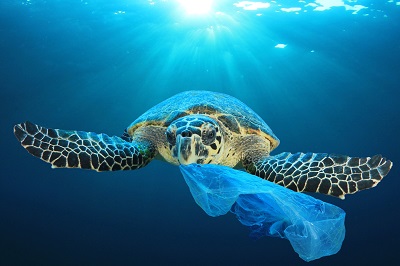 Sea Turtle and plastic polution